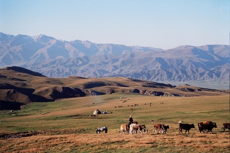 jailoo kirghiztan