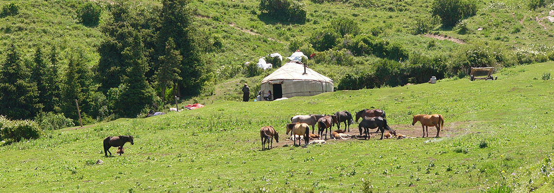 Yourte dans une vallée