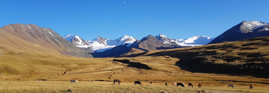 Camp Karakol